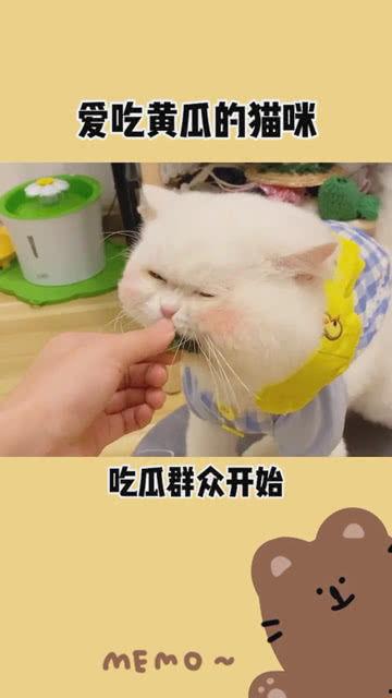 吃瓜在线免费吃瓜,吃瓜在线带你轻松解压